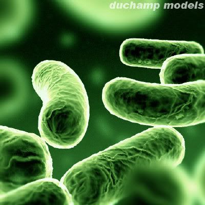 bacteriasverdesluminosas-internet.jpg