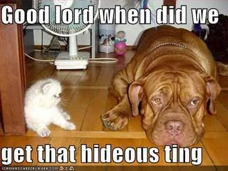 pet humor