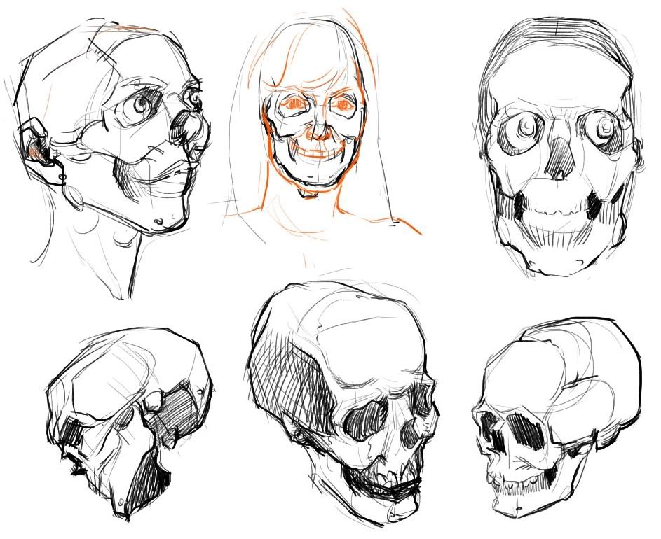 [Image: skulls.jpg]