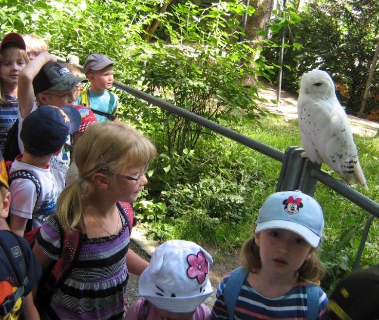  photo zoo.jpg