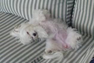 relax Pictures, Images and Photos