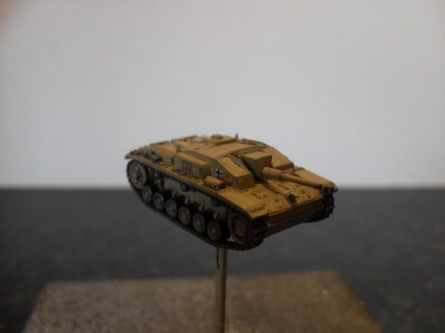 SDC12963.jpg