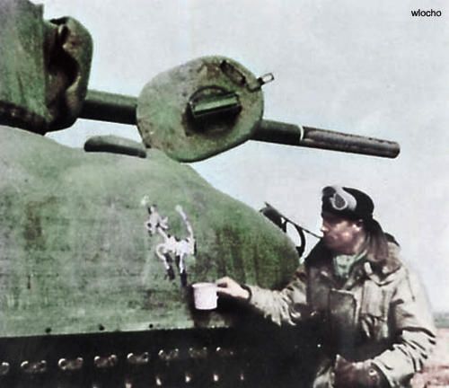 sherman-krowa.jpg