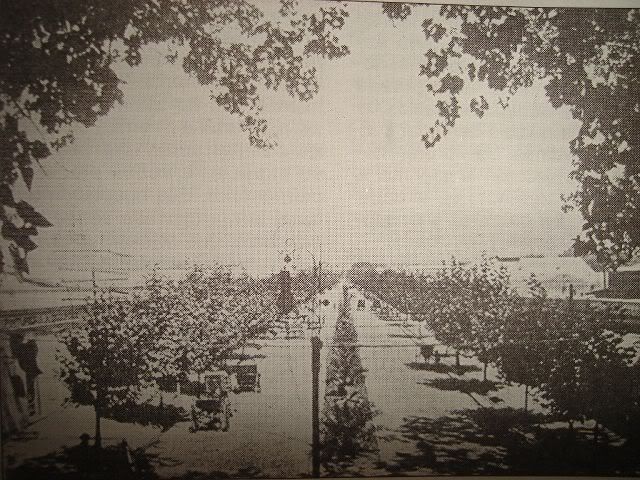 mendoza mendoza