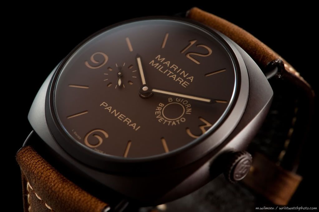 PAM339.jpg