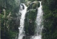 Sydney, Australia (2000) | Some forest park Robbie and I visited when I traveled to Australia in 2000, my first visit to the Aussie land. I remember we had to hike to this beautiful waterfalls, not a terrible hike, but what its name and how to get there, I don't have a clue anymore.