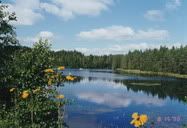 some lake, Finland (1998) || Seppo and I drove north from Helsinki to the top of Finland inside the Arctic Circle. Along the way, we had seen many many lakes. No wonder they call Finland as the Country with Thousands Lakes.