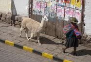 Cuzco, Peru (2009) | On the streets of old Cuzco, the Inka capital. Women in their traditional clothing leading a llama are everywhere.
