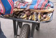 Cuzco, Peru (2009) | Fried banana for sale.