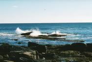 New England, United States (2001) | After 9/11 in 2001, I visited the United States the first time. During this trip, I visited the midwest Kentucky, the California sunny San Francisco, New England's tranquility Maine. This photo was taken somewhere in Maine. It has a dramatic character to it.
