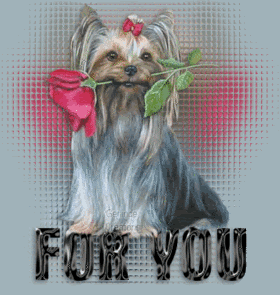 For You Photo Picture