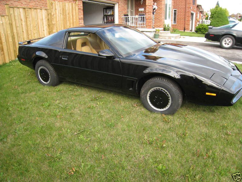 kitt-3.jpg