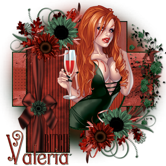 bitch-VALERIA.png picture by deseoscompartidos