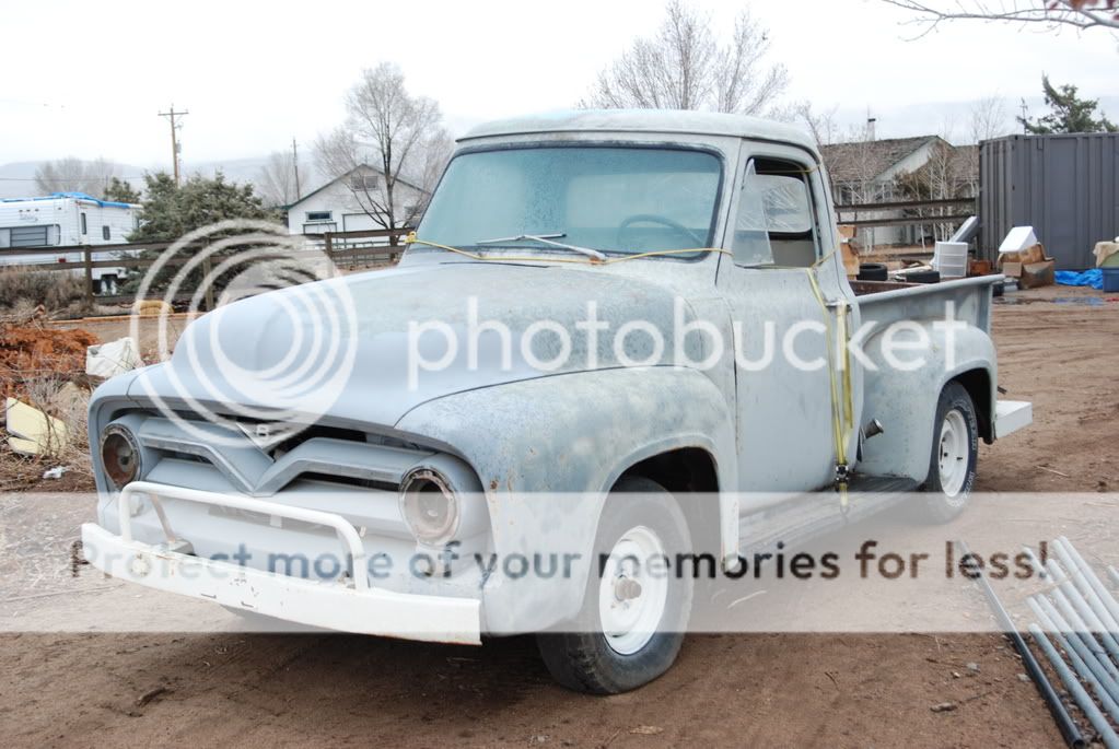 1955 Ford pickups sale